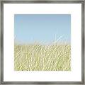 Usa, Massachusetts, Nantucket, Dune Framed Print