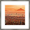 Valley Of The Sun Framed Print