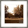 Valley Of The Tree Framed Print