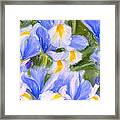 Van Gogh's Iris Framed Print