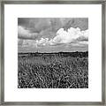 Vast Landscape Framed Print