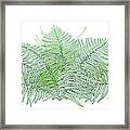Vector Drawing Of Outline Fossil Forest Framed Print