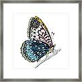 Venus Fritillary Butterfly Framed Print