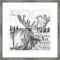 Vermont Bull Moose Framed Print