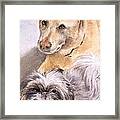 Vern And Molly Framed Print