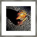 Vibrant Snail Framed Print