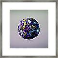 Vibrant Sphere Shaped Floral Arrangement Framed Print
