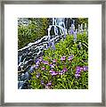 Vidae Falls And Flowers Framed Print