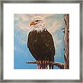 Vigilant Eagle Framed Print