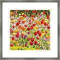 Vincent Van Gogh Style Flowerbed With Tulips And Violas Framed Print