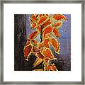 Vincent's Coleus In Pastels Framed Print