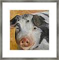 Vindicator Pig Painting Framed Print