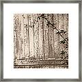 Vine And Fence Framed Print