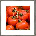 Vine Tomato Framed Print