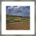 Vineyard In Frushka Gora. Serbia Framed Print