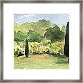 Vineyard In Provence Watercolor Paintings Of France Framed Print
