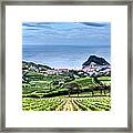 Vineyards By The Sea Framed Print