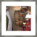Vineyards In Va - 121225 Framed Print