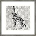 Gray Giraffe Framed Print