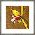 Vintage Orchid Framed Print