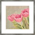 Vintage Pink Tulips Framed Print