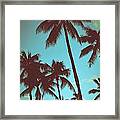 Vintage Tropical Palms Framed Print