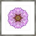 Violet Dahlia Ii Flower Mandala White Framed Print