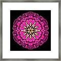 Violet Zinnia Elegans Flower Mandala Framed Print