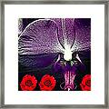 Violette And Roses Framed Print