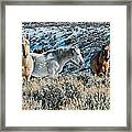 Visitors From The Red Willows Framed Print