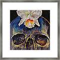 Voodoo Skull Framed Print