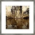 Waccamaw River In Autumn Sepia Framed Print