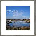 Wading Bird Way 001 Framed Print