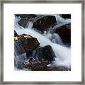 Wahkeena Creek Framed Print