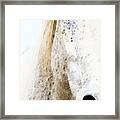 Horse Art - Waiting 2 - By Sharon Cummings Framed Print