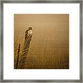 Waiting Framed Print