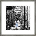 Walk In The Conservatory Framed Print