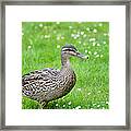 Walk With Me Framed Print