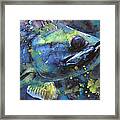 Walleye Framed Print