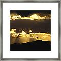 Wandering Albatross Over Drake Passage Framed Print