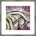 War Horse Framed Print