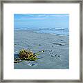 Washed Ashore Framed Print