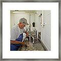 Washing Processed Oysters Framed Print