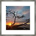 Washington Park Sunset Framed Print