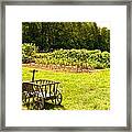 George Washington's Garden Framed Print