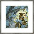 Watchful Eye-owl Framed Print