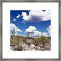 Watching The Clouds Go By Framed Print