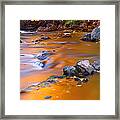 Water Color Gold Framed Print