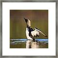 Water Droplets And A Head Shake Framed Print