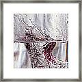Water Drops Abstract Framed Print